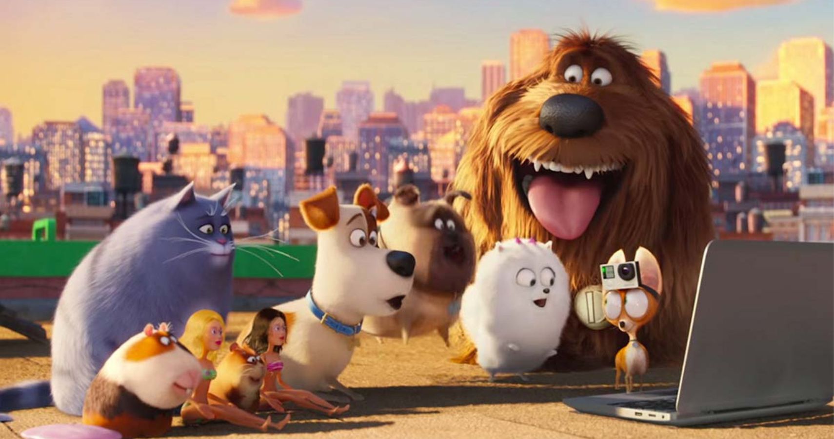 the secret life of pets off the leash universal studios