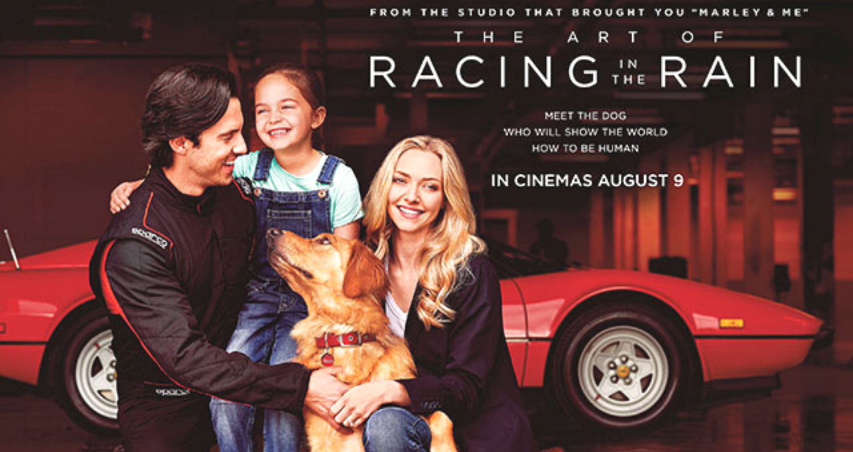 the art of racing in the rain author