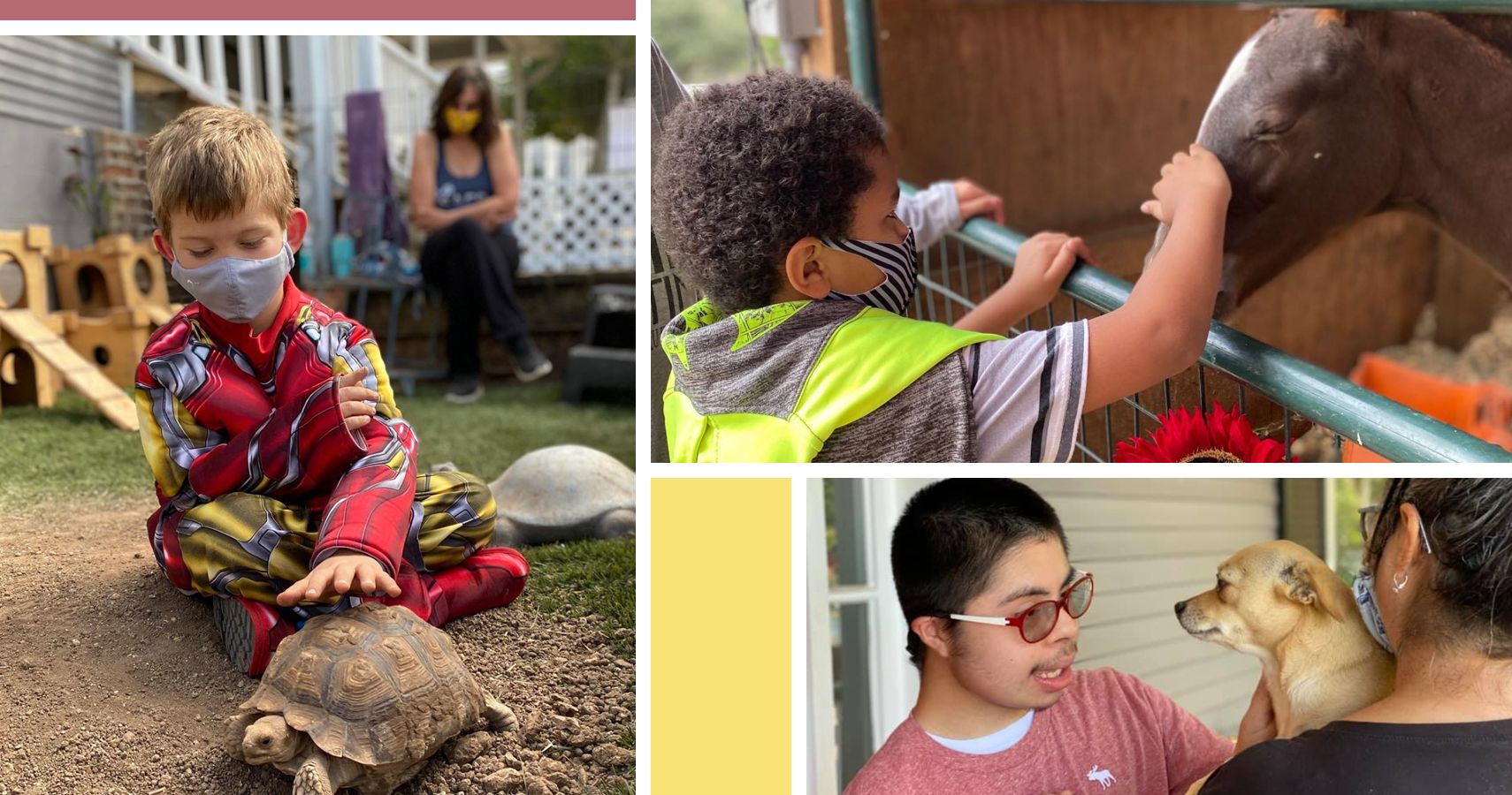 Safe In Austin Farm For Injured Animals Helps Kids